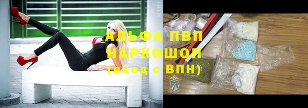 ГАЛЛЮЦИНОГЕННЫЕ ГРИБЫ Майский