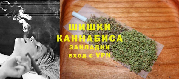 ГАЛЛЮЦИНОГЕННЫЕ ГРИБЫ Магадан