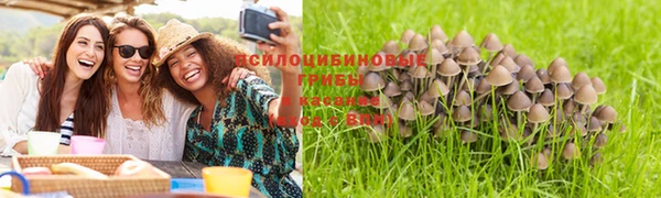 ГАЛЛЮЦИНОГЕННЫЕ ГРИБЫ Майский